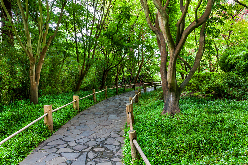 Stoned pathway